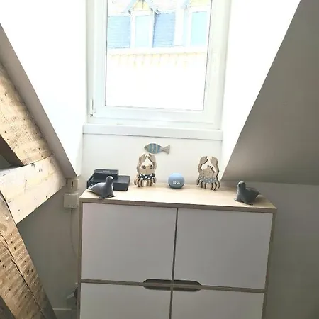 Studio Mon Plaisir 50m Front De Mer Apartment